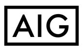 AIG LOGO